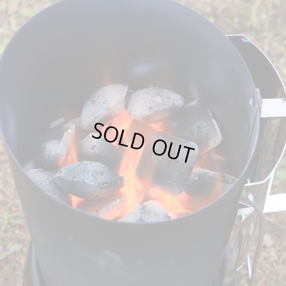 画像3: ココビーン (3)