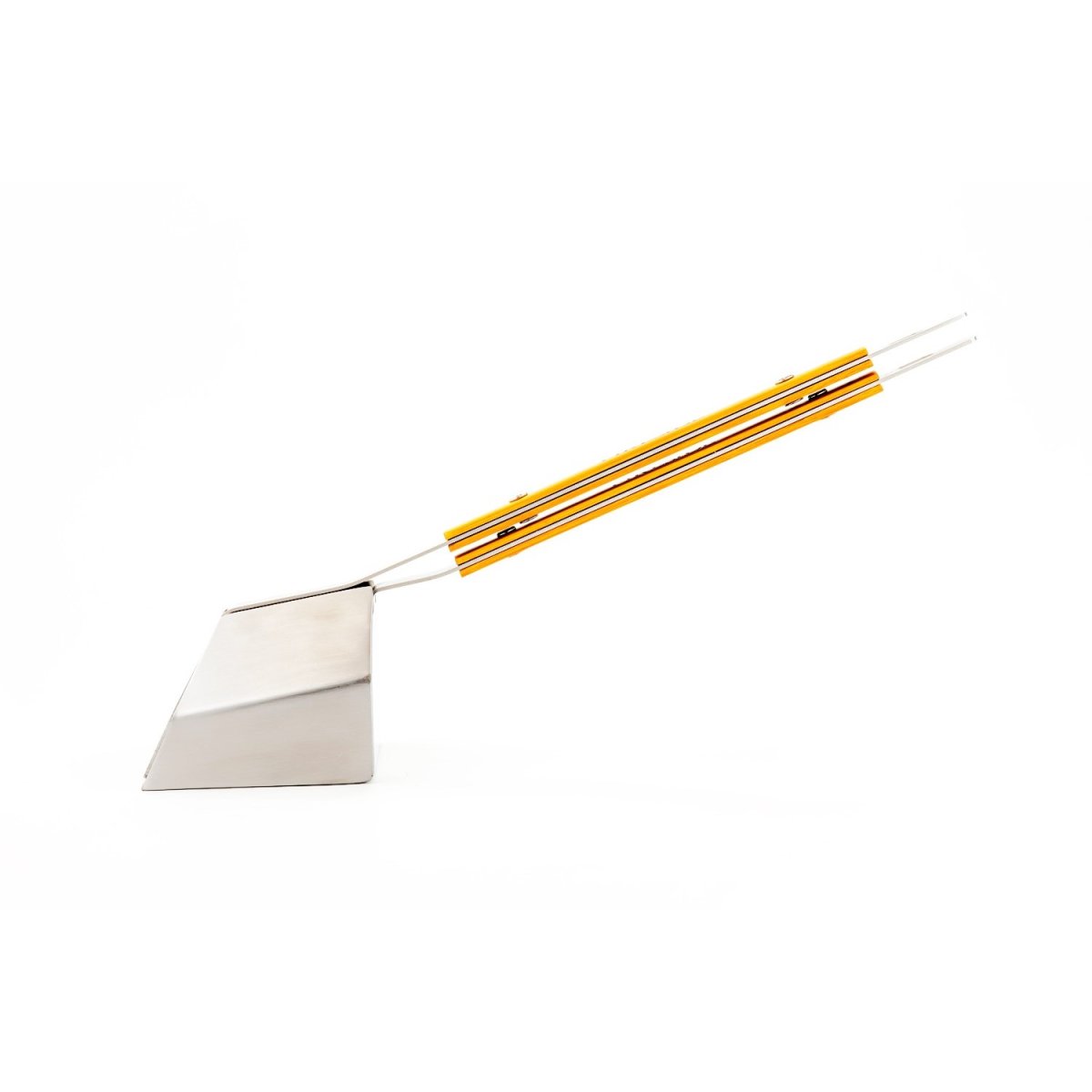 画像3: アシュシュ (3)