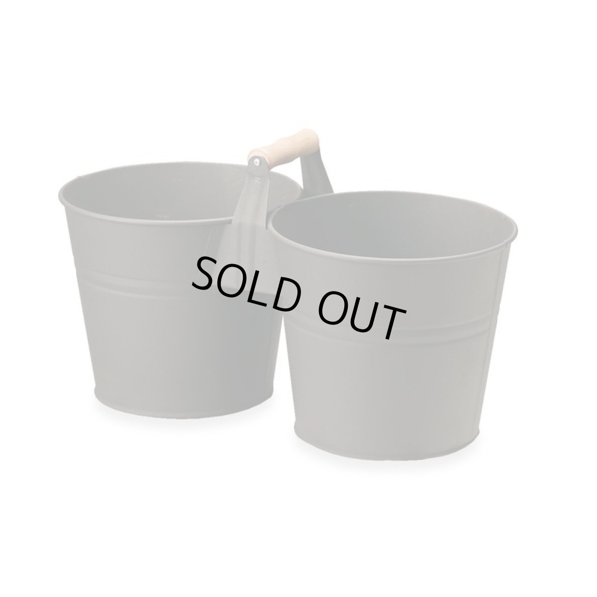 画像1: ツインコンテナ (1)