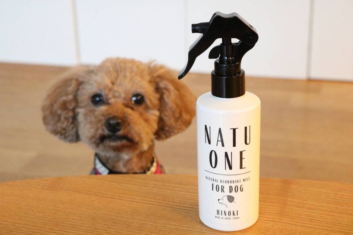 画像2: 愛犬用 消臭・除菌スプレー「NATUONE(ナチュワン)FOR DOG」200ml (2)