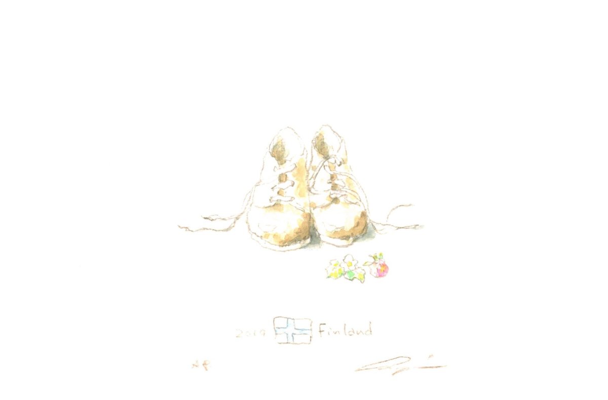 画像1: 2014Finland靴 (1)